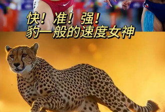 吴艳妮变身豹系公主！体坛大美女肌肉线条彰显爆发力