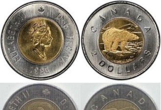 收藏加国两元硬币（Toonie）：我的寻宝之旅与趣味发现