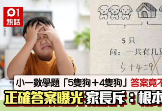 小学一年级数学题“5只狗＋4只狗”竟不是9？答案让全网骂翻