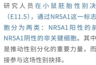 颠覆！父亲染色体决定孩子性别被打破