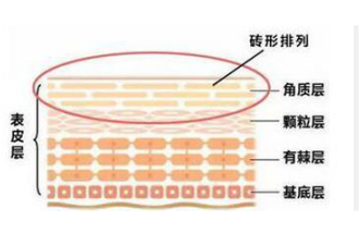 什么皮肤适合去角质？