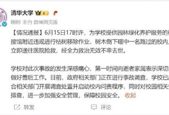 北语女教授在清华被树砸身亡，清华：已启动问责