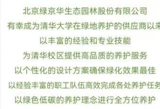 校外企业违规移除枯树 北语教授在清华校园被砸身亡