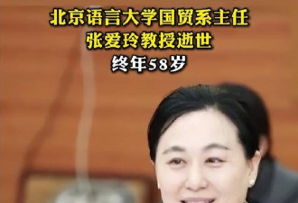 北语教授去清华看女儿遭意外 现场惨烈画面曝光