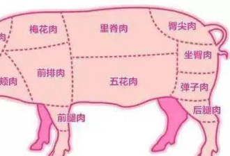 五花肉只能排第四 猪肉最好吃部位揭秘