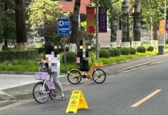 女教授在清华被树砸身亡,目击者:她当时正在骑车