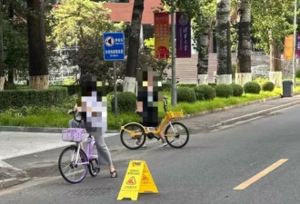 女教授在清华被树砸倒身亡，目击者：她当时正在骑车