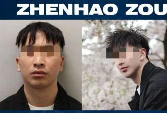 28岁留英博士连环性侵案宣判，庭上曾提化学阉割