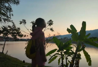 "我的女儿，初二，不去上学了"