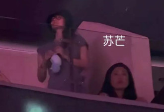 章子怡带娃现身王力宏演唱会，素颜面色红润