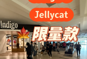 多伦多全城商场排爆：华人凌晨4点蹲守 数百人暴晒占位！只为抢它