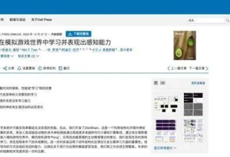 用人脑细胞跑AI，我快搞不懂这个世界了