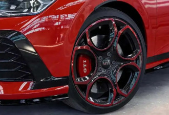 最大马力320匹 高尔夫GTI 50周年特别版发布