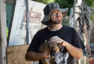 夫妇意外离世留下29只狗,暖心邻居接手为爱犬寻新家