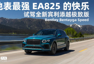 地表最强EA825的快乐 试驾全新宾利添越极致版