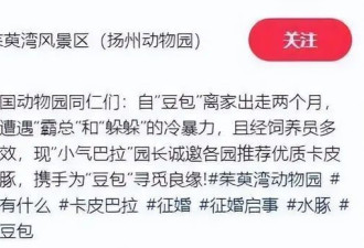 知名网红“豆包”全国征婚：无需彩礼，有编制...