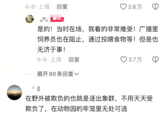 热搜：上海野生动物园大象遭“群体霸凌”