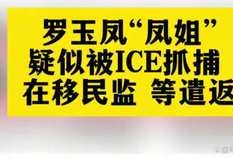 凤姐近况引热议，遣返、过气、混迹直播