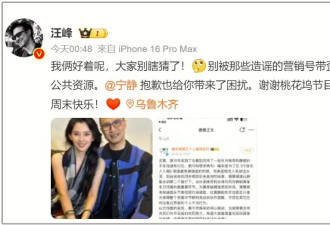 汪峰男友力爆棚！否认追求宁静，牵森林北逛街被偶遇，细节太甜了！