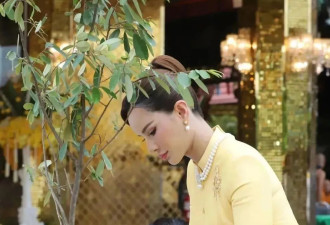 新王妃上位 赢家还是“棋子”？泰王后宫“三美鼎立”