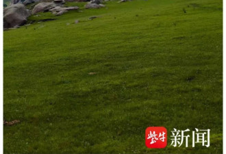 户外团队在内蒙古景区草甸挖沟烧烤，多位爱好者发声