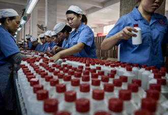 市场凉透 千元系列茅台“卖一瓶亏一瓶”