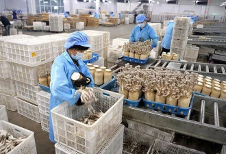 24岁本科生进厂打工，一天站12个小时
