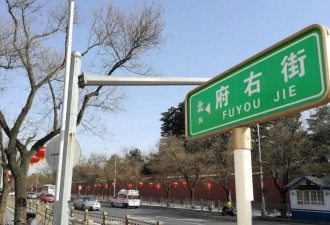 何以清白：归国清华博士后之死