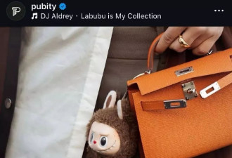 Labubu设计风暴：如何让00后艺术生玩出亿万身家？