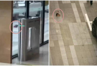 深圳街头惊现“人头” 网传因欠薪被害