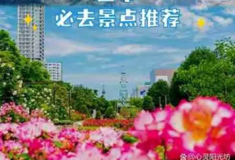 探索东瀛之美 日本旅游更佳时机全解析