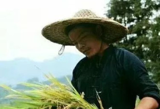 暴雨72小时：冲垮的稻田，中断的生活