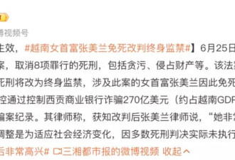 越南女首富张美兰改判终身监禁 律师:她非常高兴