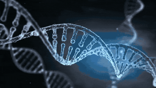 谷歌AlphaGenome横空出世：揭示DNA天书