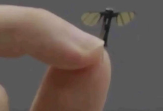 中国科学家研制出蚊子那幺小的无人机