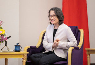 中国策划冲撞萧美琴座车 捷克军事情报局证实