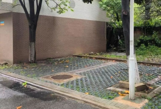 副教授在小区被精神病人杀害，家属申请工亡被驳回