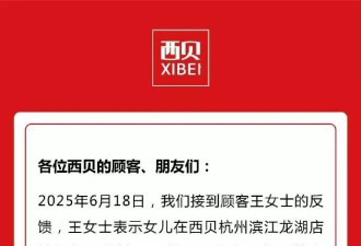 男服务员偷拍6岁女孩，西贝致歉