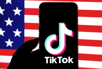 TikTok漂亮的官样话 让西方议员长见识了