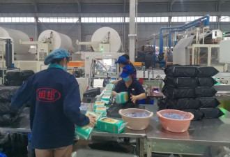 一年亏光三年利，中国纸业为何自杀式内卷？