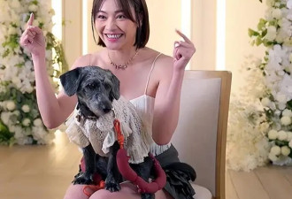 TVB综艺再现神操作，女神让狗狗选男友,星二代...