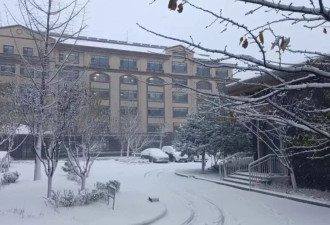 100%就业，最热门的专业，读完后悔了