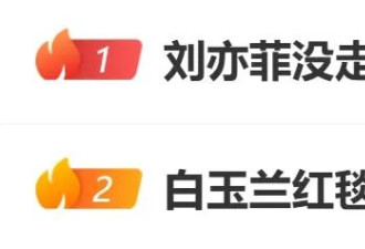 刘亦菲缺席白玉兰红毯！曾拿过所有“前哨奖”没胜算就不来了