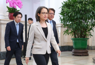 萧美琴险遭斩首 变身“台湾哈米尼”？