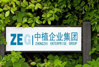 比恒大还多1.14万亿债务的巨头 倒了!