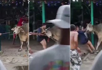 悲剧！放生狂牛，女乱入惨遭一击夺命