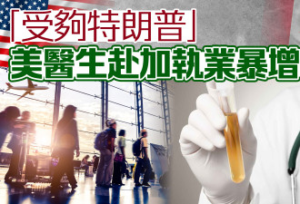 “受够川普” 美国医生赴加拿大执业暴增7倍