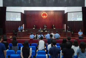 2人造谣科研人员虐待大熊猫获刑虐待一年以上
