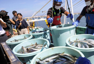 北京恢复日本水产品进口 核废水不在背锅？
