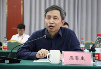 中国稀土高管惊爆离职潮 传权威人物出走加拿大